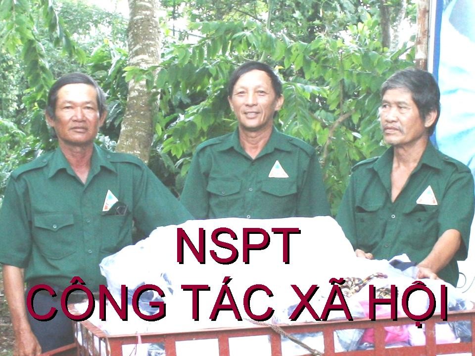 NSPT